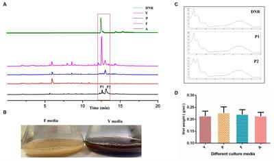 Utilization of carbon catabolite repression for efficiently biotransformation of anthraquinone O-glucuronides by Streptomyces coeruleorubidus DM